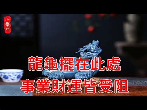 龍龜配戴禁忌|佩戴龍龜招好運？當心這些禁忌，龍龜避邪化煞絕招 